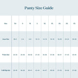 Sexy Ladies' Seamless Lace Panties, G-string Thongs, Solid Color Transparent Underwear Lingerie, Women's Tangas